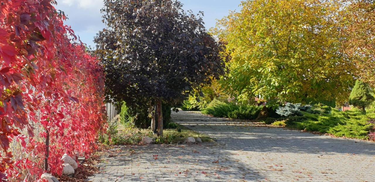 Bialowolskie Wzgorze Zamosc  Ngoại thất bức ảnh